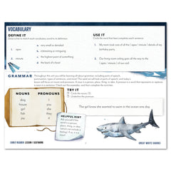 Ocean Life homeschool unit study digital seatwork journal in manuscript for early reader lesson one worksheet
