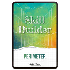Digital book cover of 'Skill Builder: Perimeter' with geometric design and text on a colorful background.