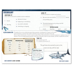Ocean Life homeschool unit study digital seatwork journal in manuscript for early elementary lesson one worksheet