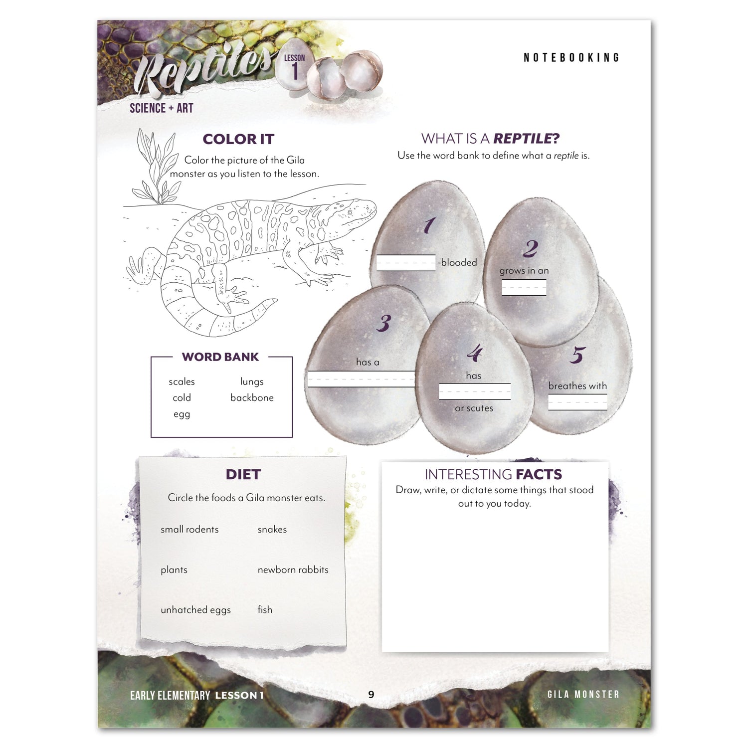 Reptiles homeschool unit study digital student workbook  Early Elementary and Teacher's Guide bundle notebooking worksheet