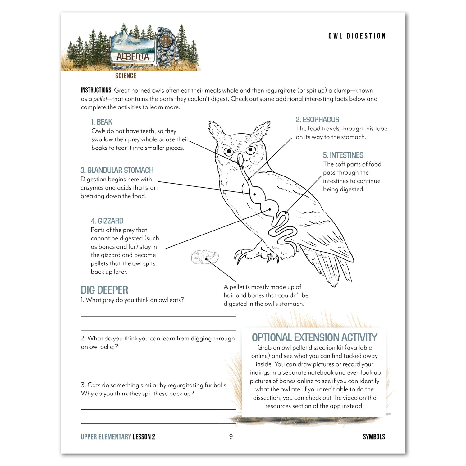 Alberta homeschool unit study digital upper elementary student book lesson 2