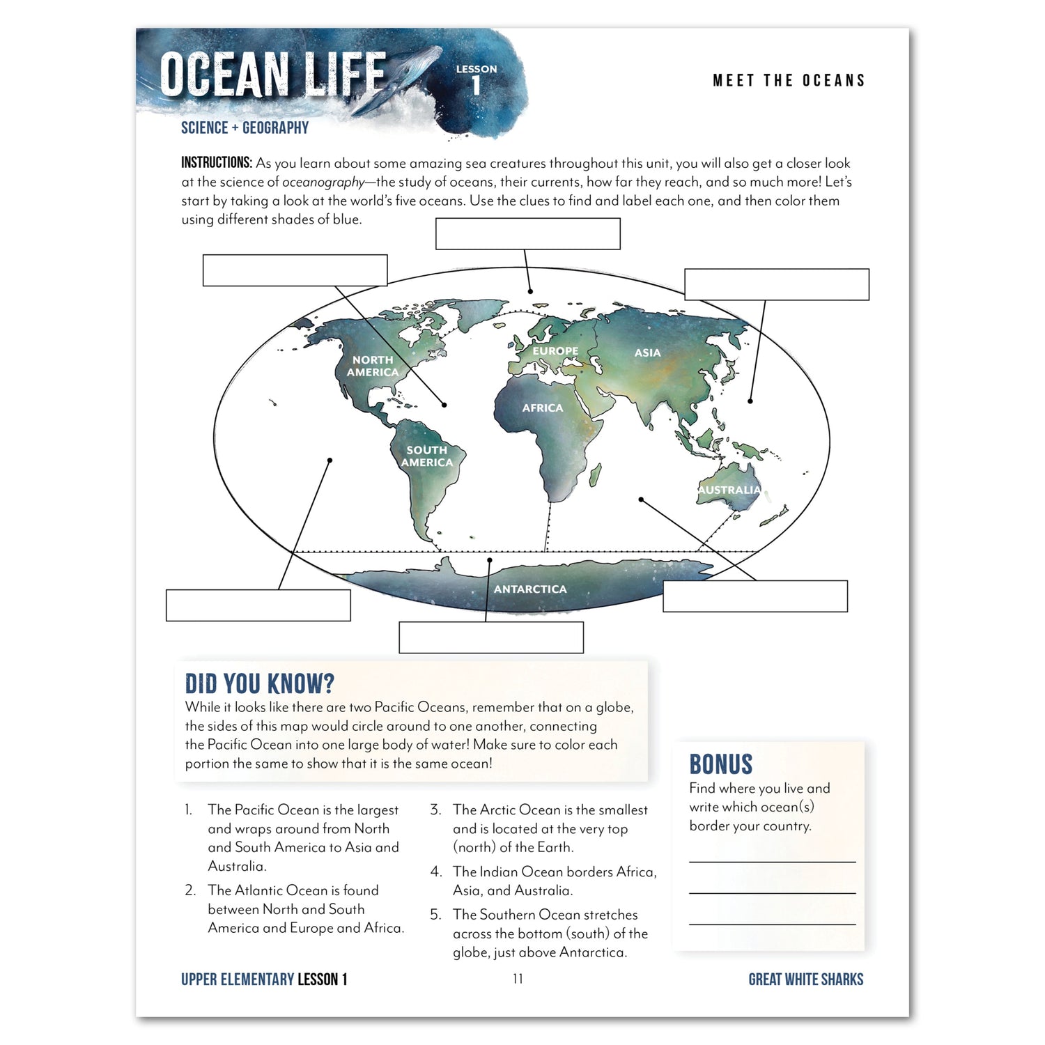 Ocean Life homeschool unit study digital student workbook for upper elementary with teacher's guide bundle meet the oceans