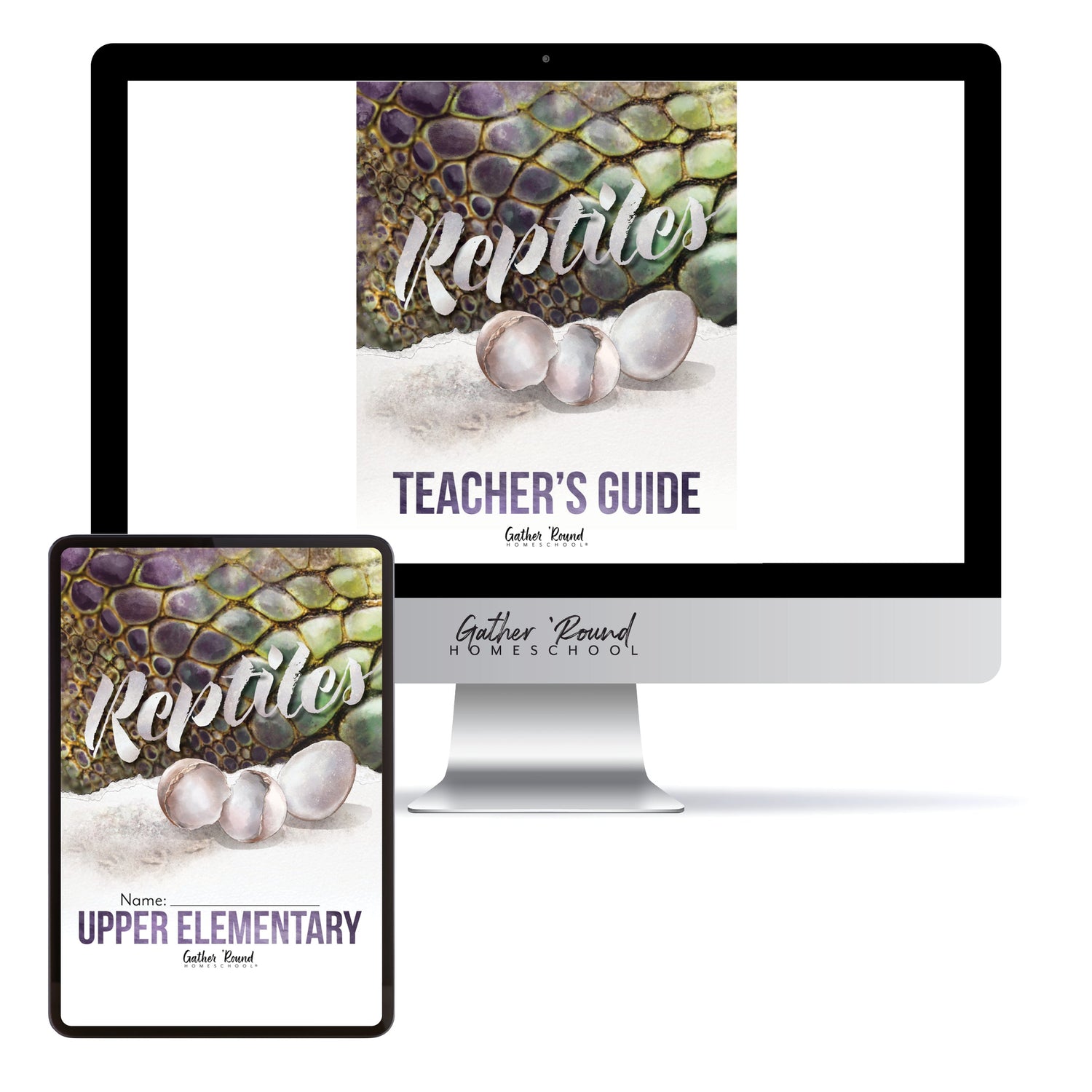 Reptiles homeschool unit study digital student workbook  Upper Elementary and Teacher's Guide bundle