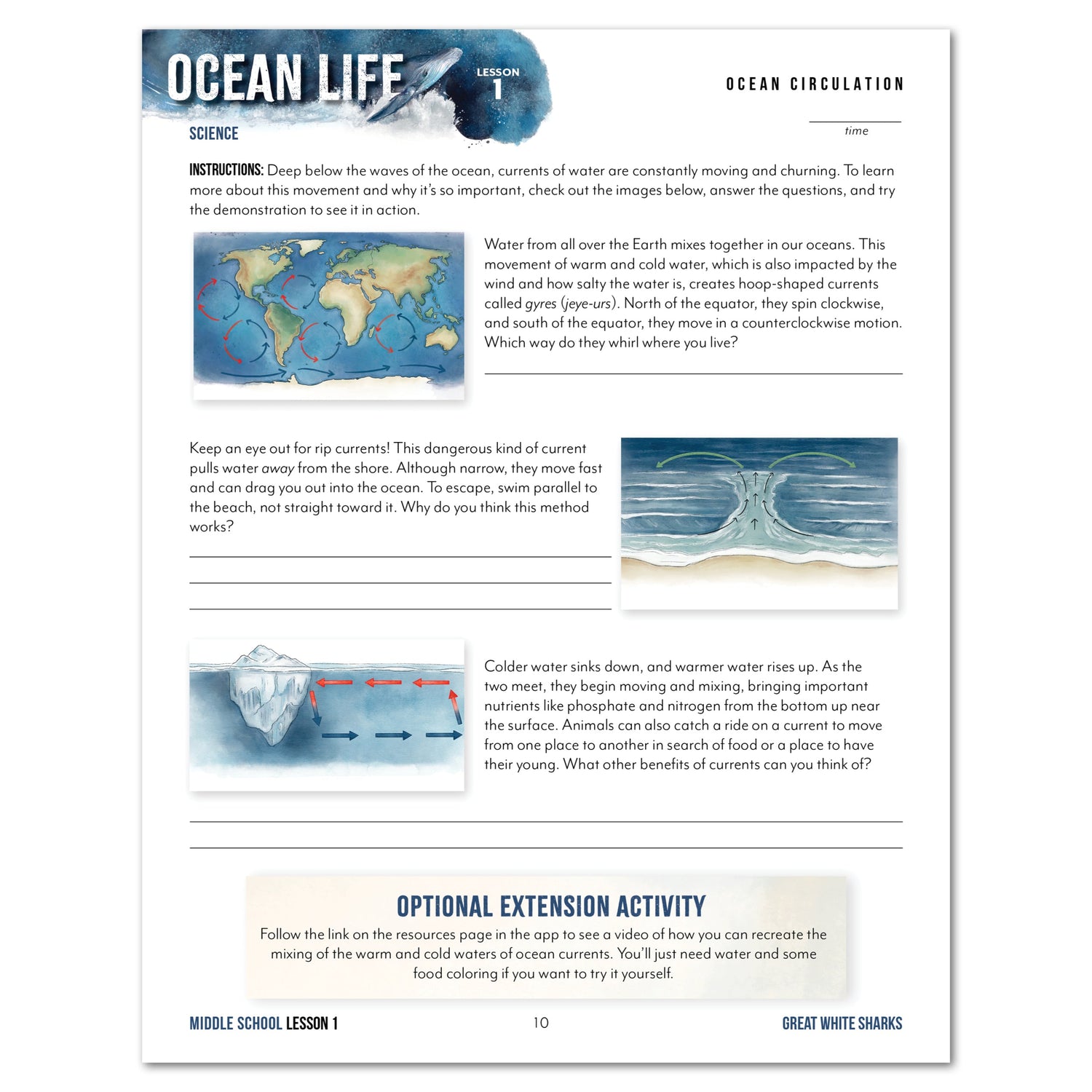 Ocean Life homeschool unit study digital student workbook for middle school with teacher's guide bundle ocean circulation