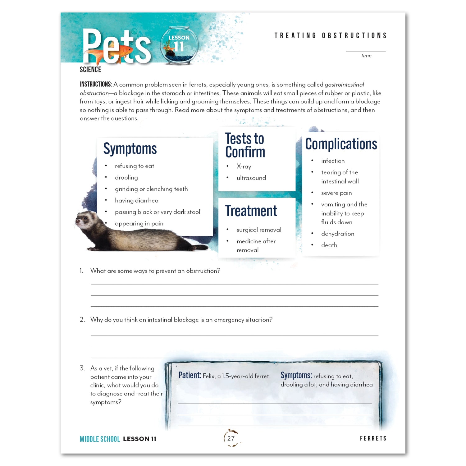 Pets homeschool unit study digital  student workbook for middle school with Teacher's Guide bundle treating obstructions worksheet