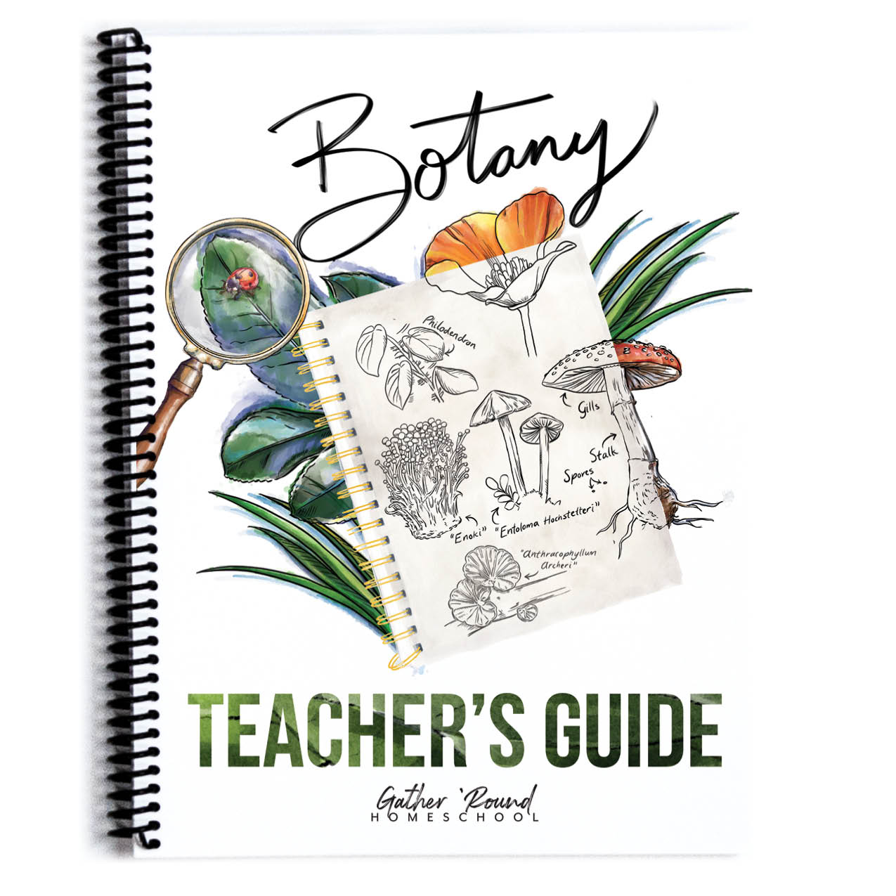Academy Digital Bundle