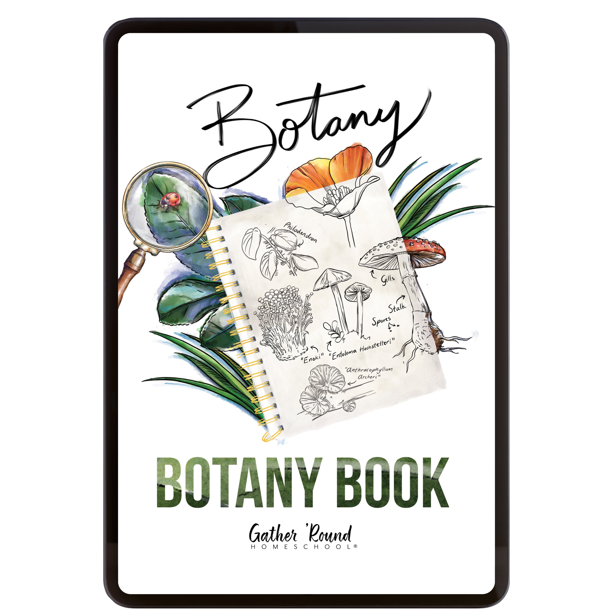 Botany – Gather 'Round Homeschool