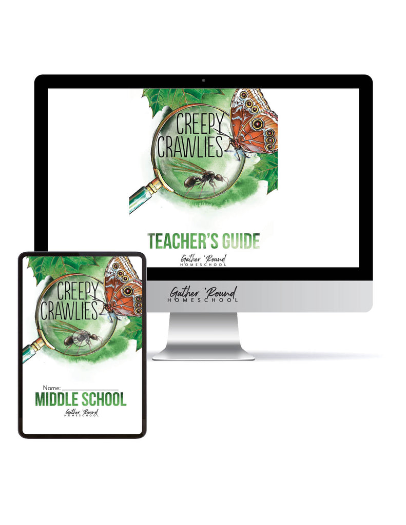 Creepy Crawlies Digital Bundles