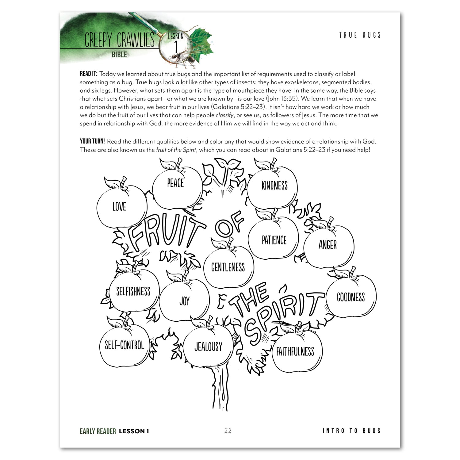 Creepy Crawlies Homeschool Unit Study Digital Early Reader Student Book Lesson 1 True Bugs