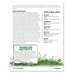 Energy Homeschool Unit Study Digital Teacher's Guide Lesson 1 What is Energy Part 2