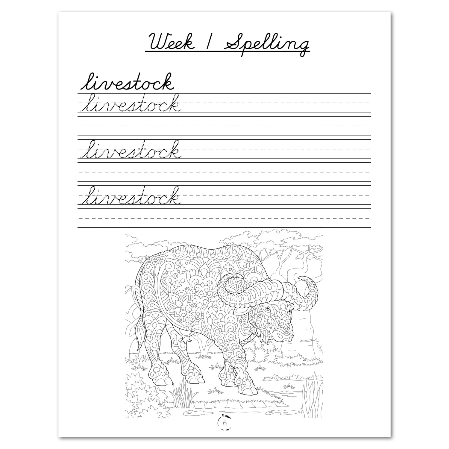 Human Body homeschool unit study digital student workbook in cursive week one spelling