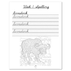 Human Body homeschool unit study digital student workbook in cursive week one spelling