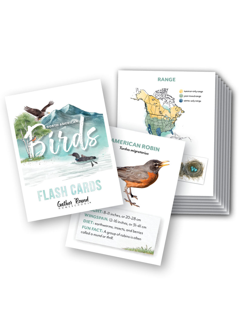 North American Birds Flashcards