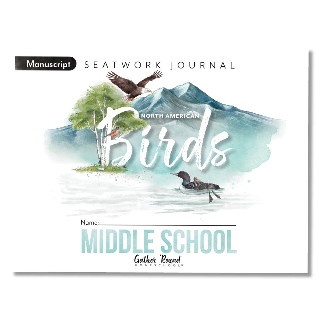 North American Birds Printed Seatwork Books