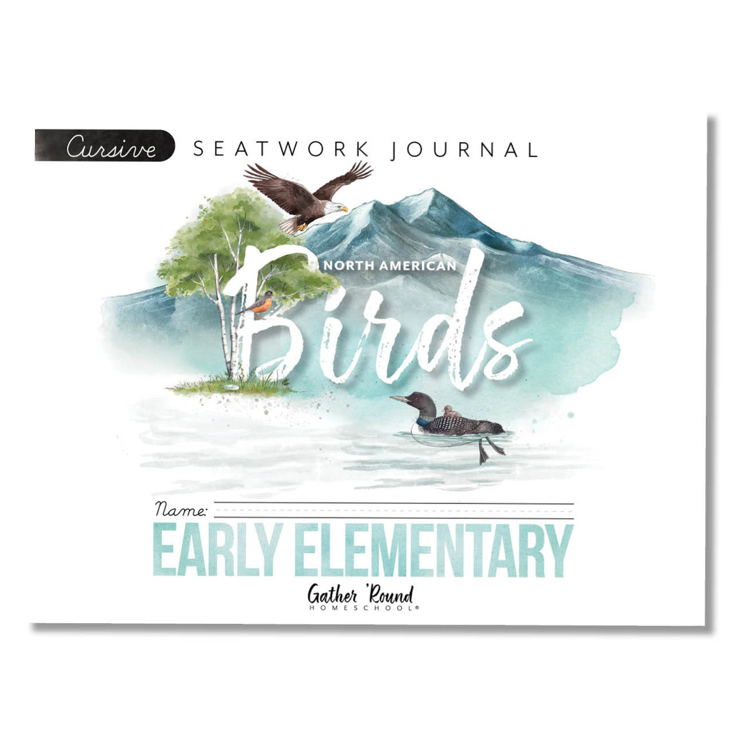 North American Birds Printed Seatwork Books