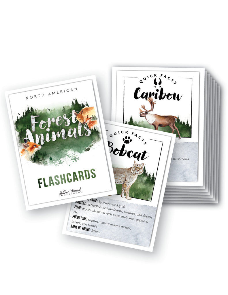 North American Forest Animals Printed Flashcards