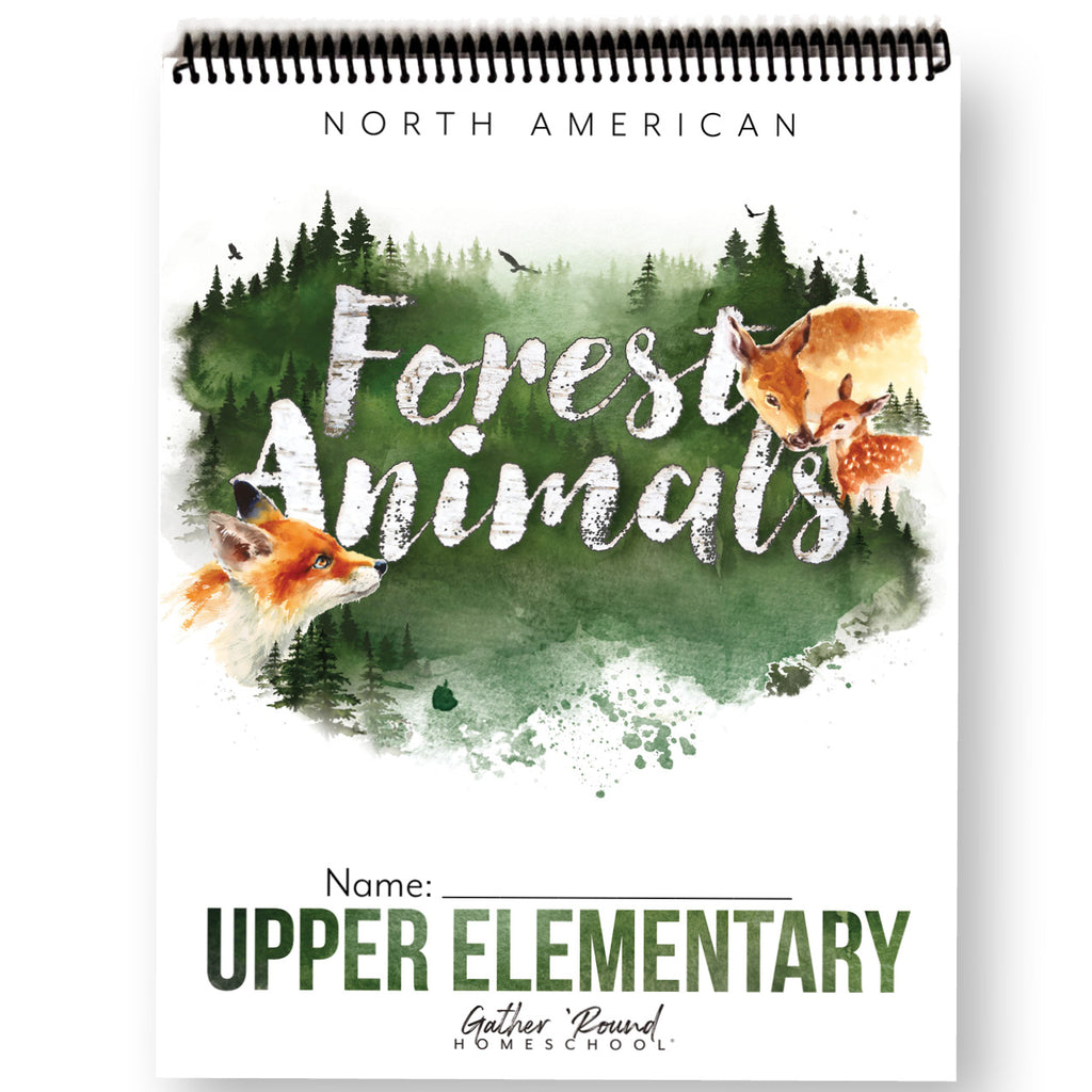 North American Forest Animals Printed Books