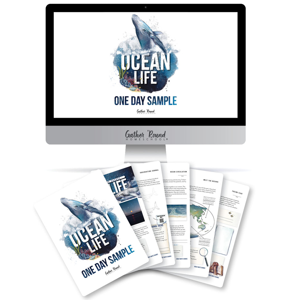 Ocean Life One Day Sample