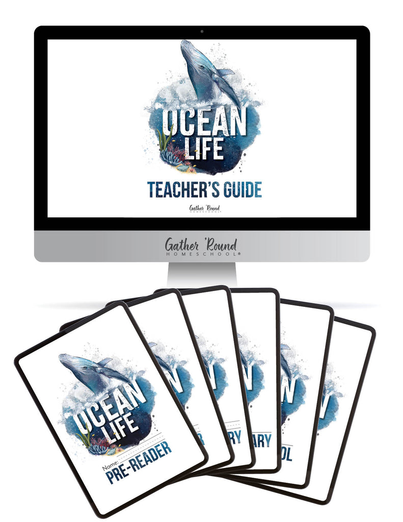 Ocean Life Digital Bundles