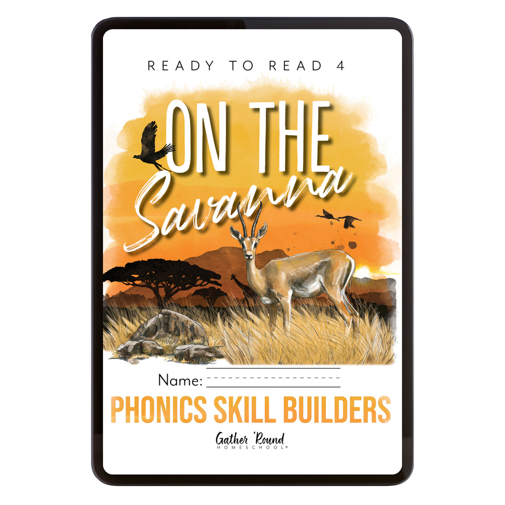 Ready to Read 4: Phonics Skill Builders