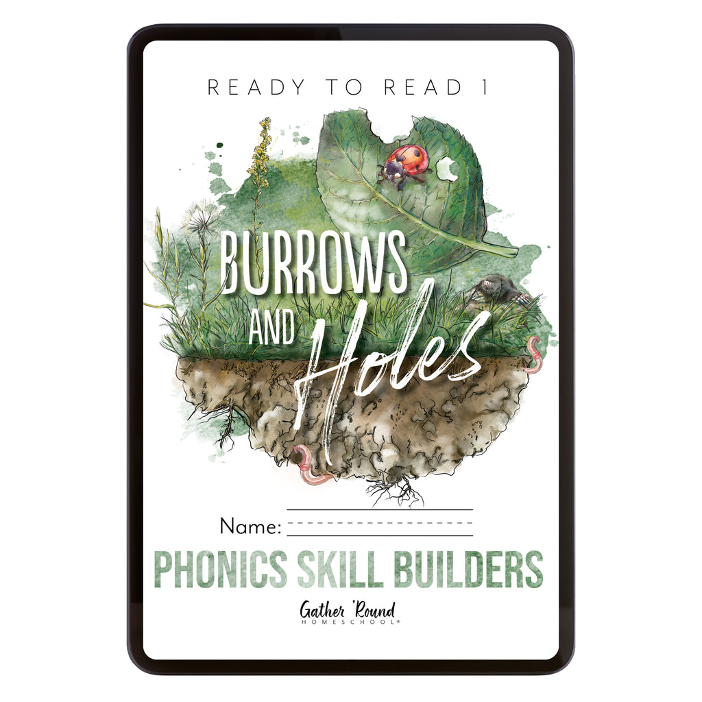 Ready to Read 1: Phonics Skill Builders