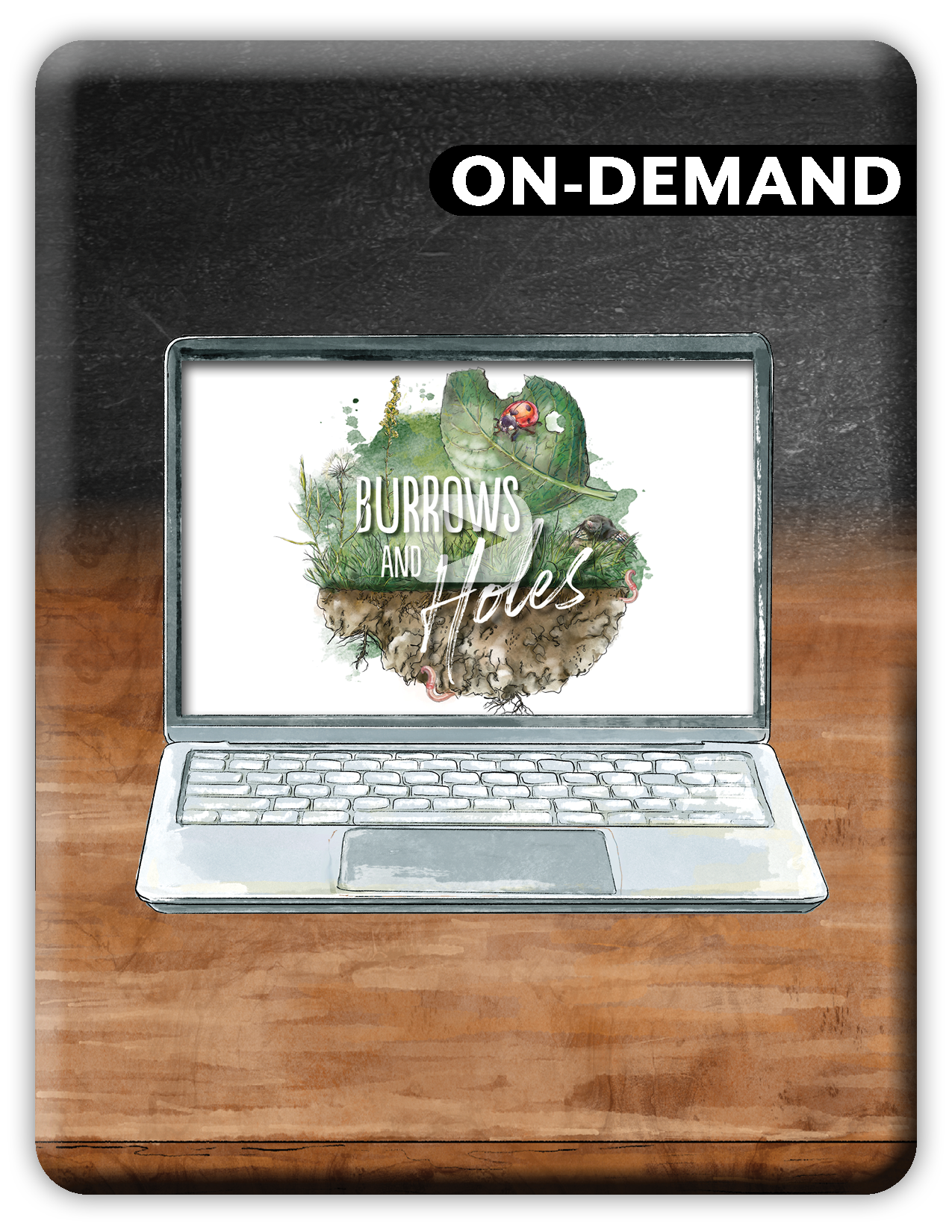 Laptop on a wooden surface with 'Burrows and Holes' on the screen and 'On-Demand' text above.
