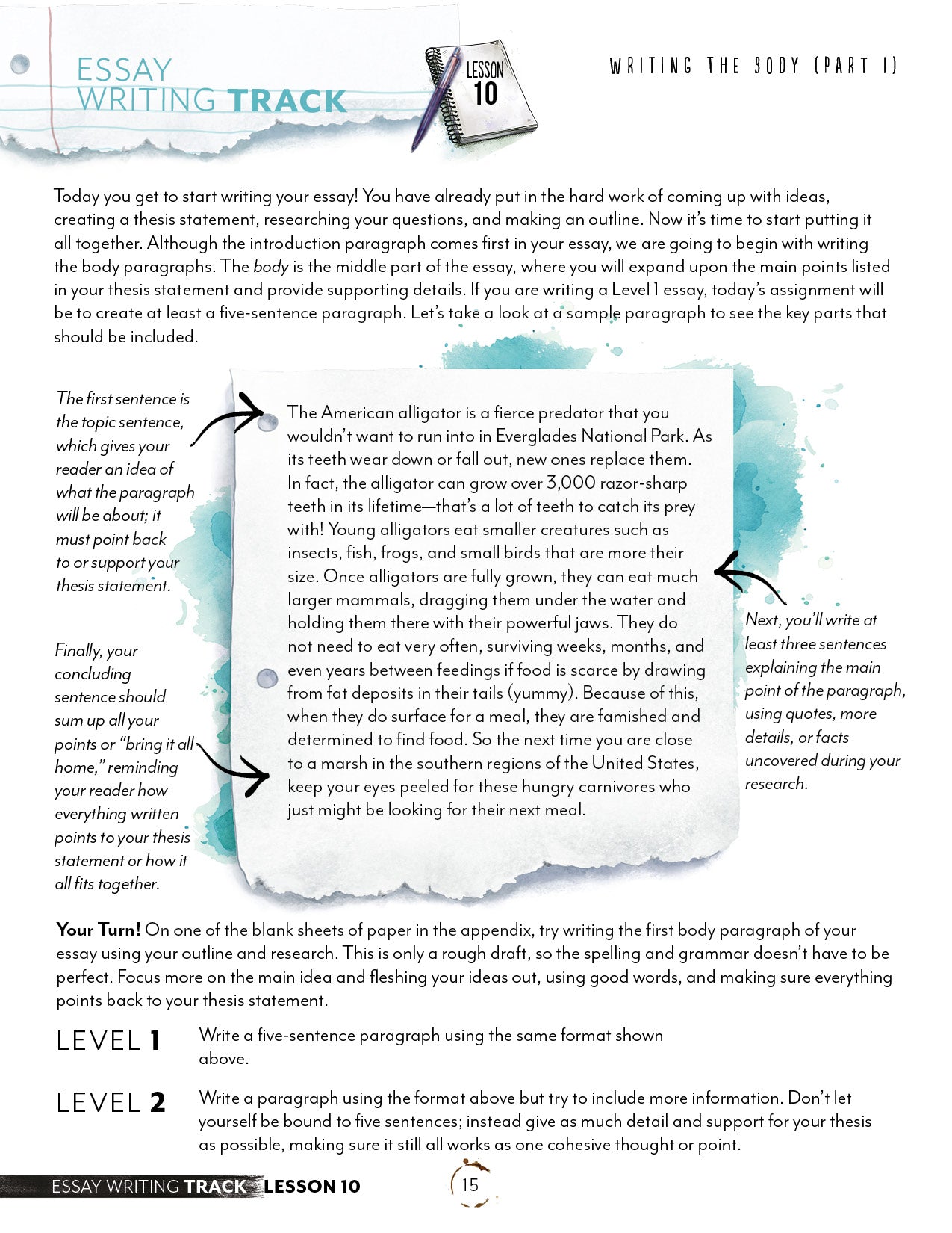 Essay Digital Writing Track